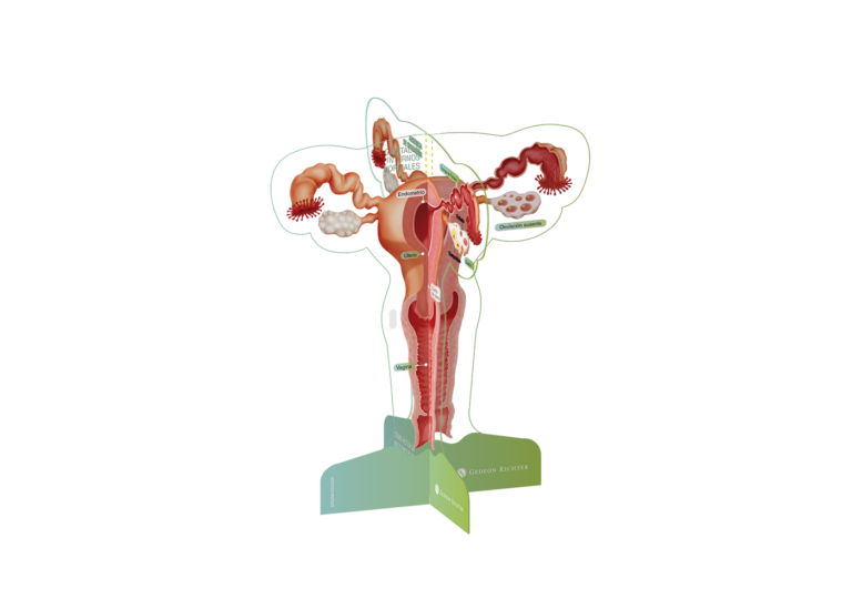 medizinische Broschüren, Patienteninformationen, Gesundheitsaufklärung, Diagnosematerialien, Therapieunterlagen, pharmazeutische Informationen, Arzt-Patienten-Kommunikation, Krankheitsmanagement, Behandlungspläne, Gesundheitsdienstleistungen, Außendienst, Pharma