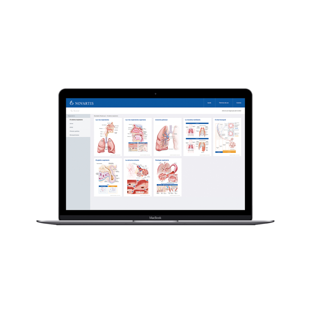 medizinische Broschüren, Patienteninformationen, Gesundheitsaufklärung, Diagnosematerialien, Therapieunterlagen, pharmazeutische Informationen, Arzt-Patienten-Kommunikation, Krankheitsmanagement, Behandlungspläne, Gesundheitsdienstleistungen, Außendienst, Pharma