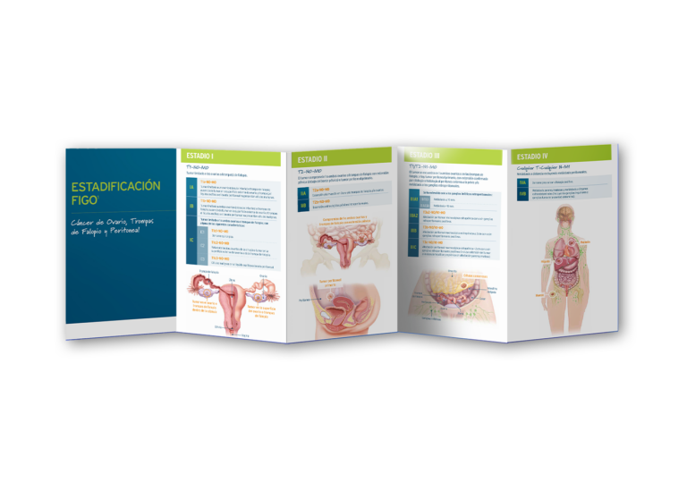 medizinische Broschüren, Patienteninformationen, Gesundheitsaufklärung, Diagnosematerialien, Therapieunterlagen, pharmazeutische Informationen, Arzt-Patienten-Kommunikation, Krankheitsmanagement, Behandlungspläne, Gesundheitsdienstleistungen, Außendienst, Pharma