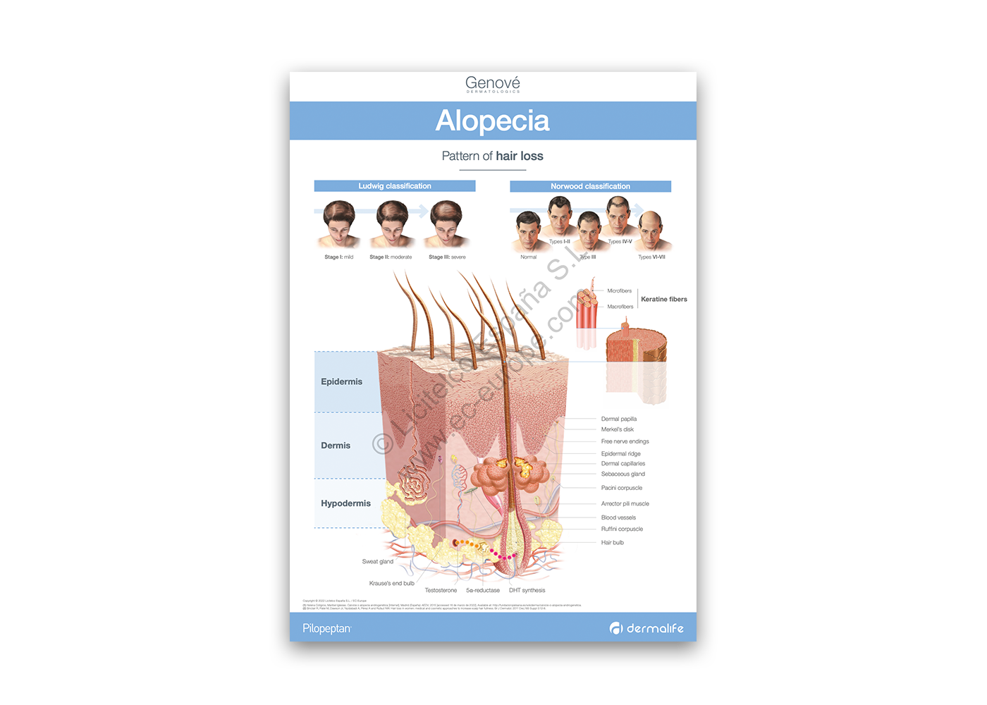 medizinische Broschüren, Patienteninformationen, Gesundheitsaufklärung, Diagnosematerialien, Therapieunterlagen, pharmazeutische Informationen, Arzt-Patienten-Kommunikation, Krankheitsmanagement, Behandlungspläne, Gesundheitsdienstleistungen, Außendienst, Pharma